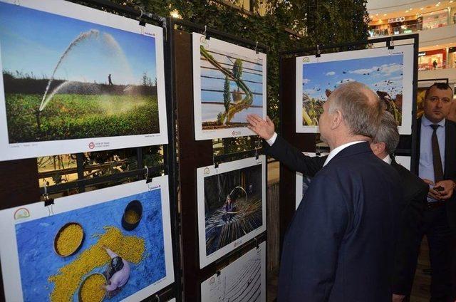 9. Tarım Ve İnsan Fotoğraf Sergisi A&ccedil;ıldı 1