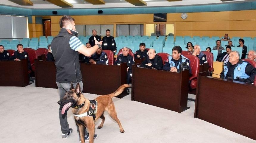 Tarsus Belediyesi &Ccedil;alışanlarına &lsquo;narko Rehber Eğitimi&rsquo; Verildi
