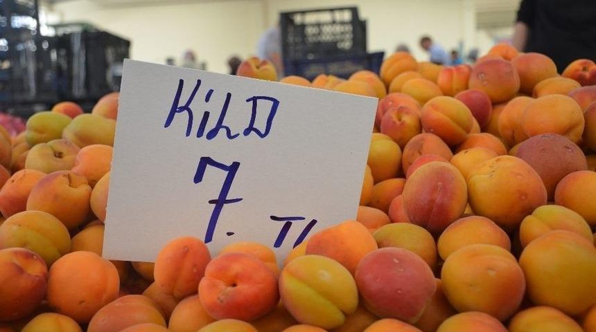 Bilecik&rsquo;te Sezonun İlk Kayısısı Tezgahlara D&uuml;şt&uuml;