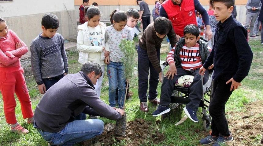 Hizan&rsquo;da &Ouml;ğrencilerin Fidan Ekimi Ve &Ccedil;evre D&uuml;zenlemesi