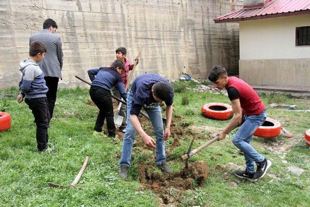 Hizan’da Öğrencilerin Fidan Ekimi Ve Çevre Düzenlemesi