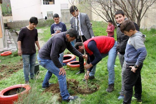 Hizan’da Öğrencilerin Fidan Ekimi Ve Çevre Düzenlemesi