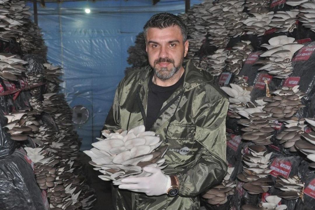 Mantar &Uuml;reticisine Devlet Desteği