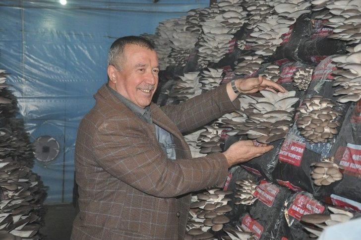 Mantar Üreticisine Devlet Desteği G3