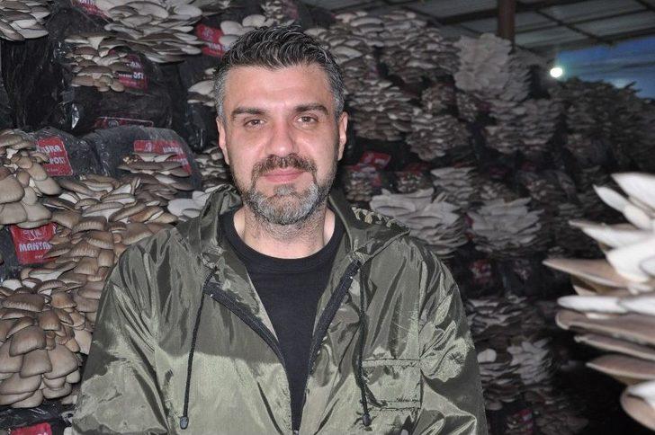 Mantar Üreticisine Devlet Desteği G4