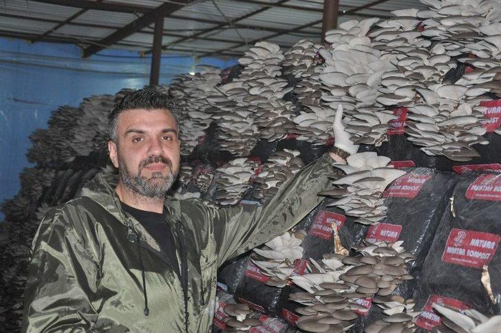 Mantar Üreticisine Devlet Desteği G5