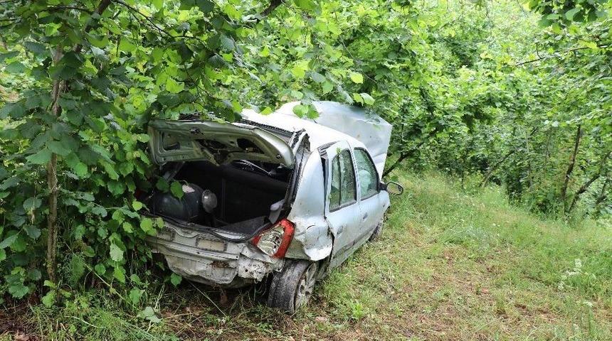 50 Metreden U&ccedil;tu, Fındık Ağa&ccedil;ları Hayatını Kurtardı
