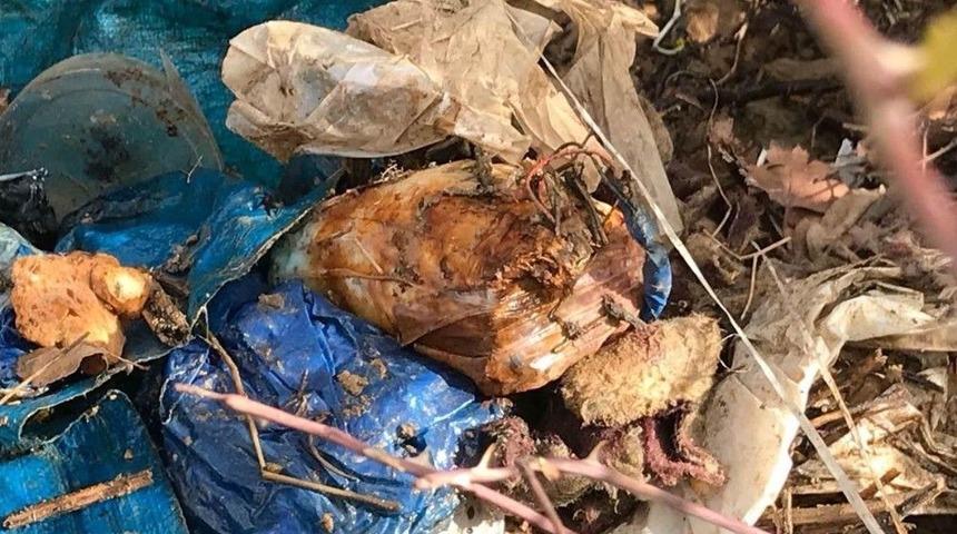 Hakkari Kırsalında Silah Ve M&uuml;himmat Ele Ge&ccedil;irildi