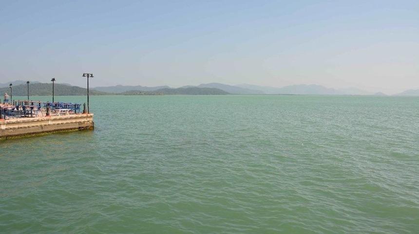 Prof. Dr. &Ouml;nder Yıldırım; &ldquo;g&ouml;ldeki Ge&ccedil;ici Renk Değişiminde Ana Fakt&ouml;r&uuml;n K&uuml;k&uuml;rt Ve Yosun Varlığı Olduğunu D&uuml;ş&uuml;n&uuml;yoruz&rdquo;