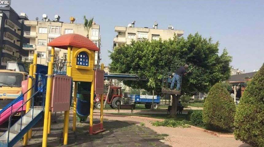 Akdeniz&rsquo;de Bahar Mesaisi