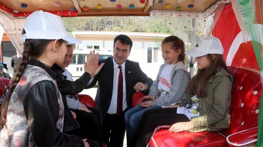 Kediler Artık L&uuml;ks Hastanede Doğum Yapacak