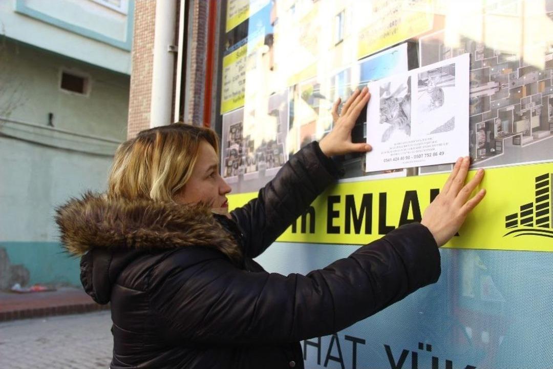 (&ouml;zel Haber) Kayıp K&ouml;r Kedisini G&uuml;nlerdir Sokak Sokak Arıyor