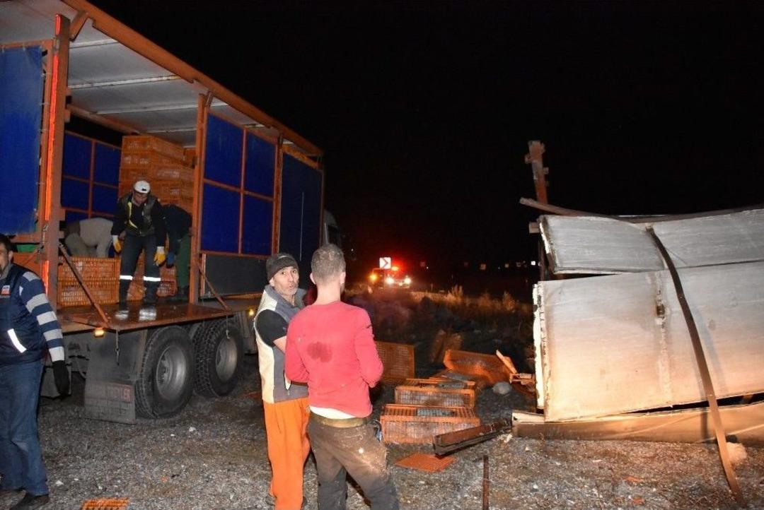 (&ouml;zel Haber) Tavuk Y&uuml;kl&uuml; Kamyon Devrildi, Hayvanlar Telef Oldu