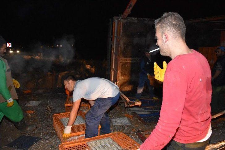 (özel Haber) Tavuk Yüklü Kamyon Devrildi, Hayvanlar Telef Oldu G2