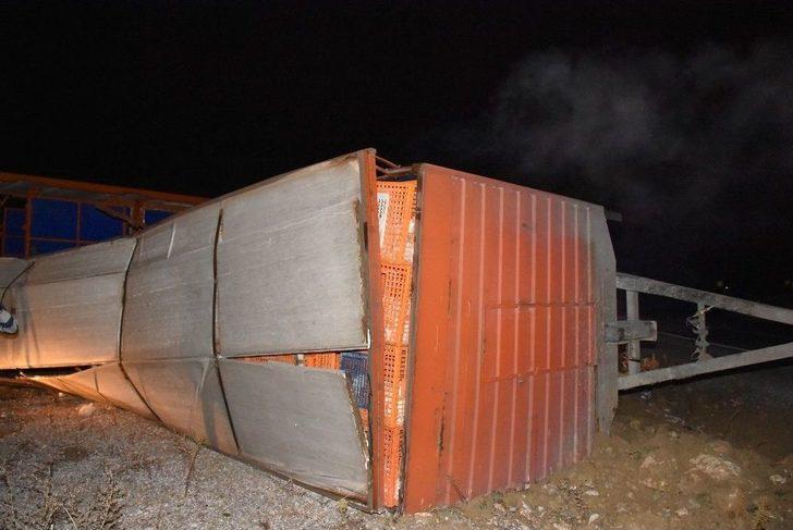 (özel Haber) Tavuk Yüklü Kamyon Devrildi, Hayvanlar Telef Oldu G4