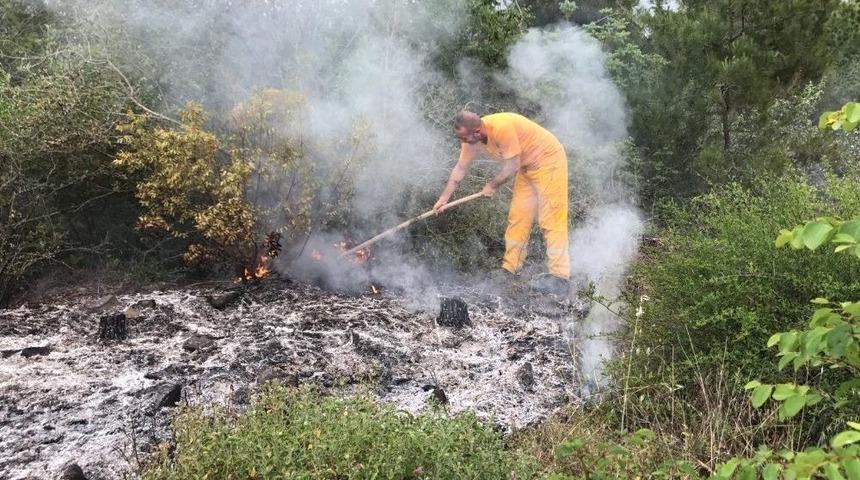 Tokat’ta Yıldırım Düşen Ormanda Yangın Çıktı