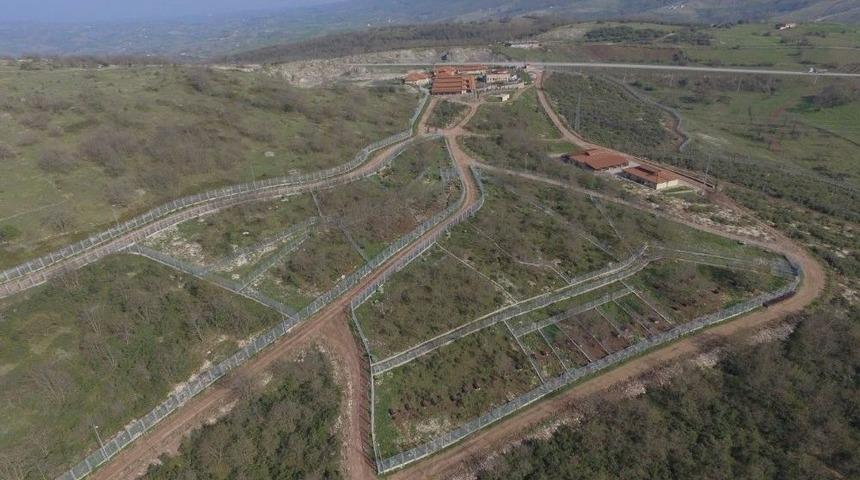 Kocaeli Hayvan Bakımevine 5 Bin Fidan Dikildi