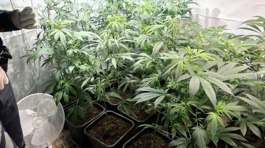 İstanbul Beşiktaş&rsquo;ta Uyuşturucu Serasına &Ccedil;evrilen Bah&ccedil;e Ortaya &Ccedil;ıkarıldı