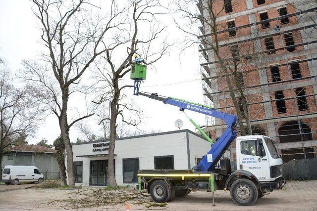 Kartepe&rsquo;de Bahar Budaması Başladı 1