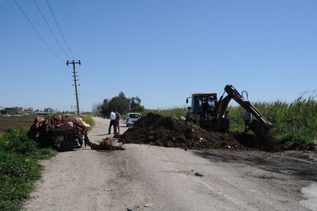 Adana&rsquo;da Kesilmiş At Ve Eşek Eti Bulundu 2