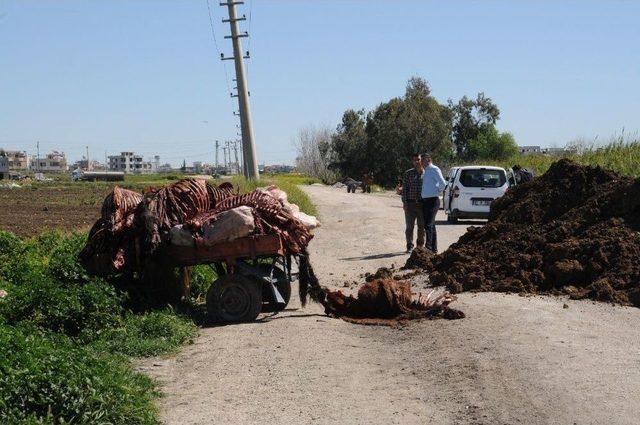 Adana&rsquo;da Kesilmiş At Ve Eşek Eti Bulundu 3