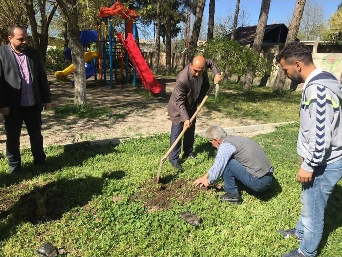 Okul Bah&ccedil;esinde Zeytin Dalı Herakatı Hatıra Ormanı Oluşturuldu