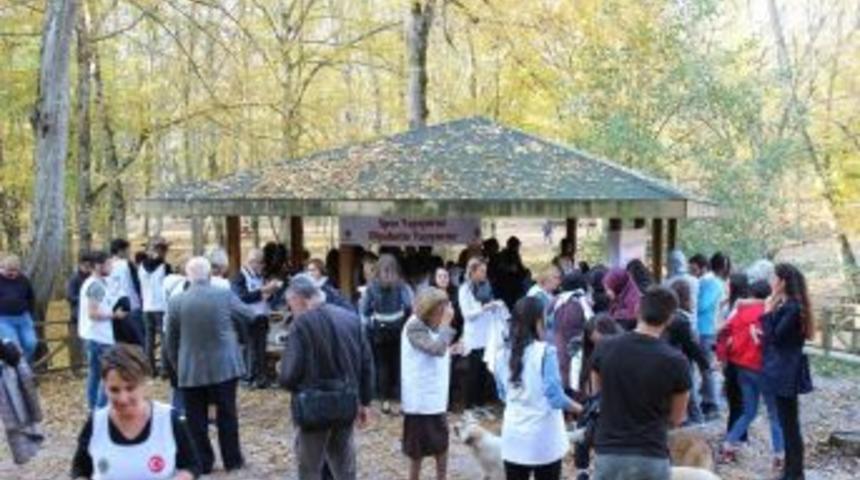 &Ouml;ğrenci Ve &Ouml;ğretmenler, &rsquo;spor Diyabeti Yener&rsquo; Sloganıyla Belgrad Ormanı&rsquo;nda Koştu