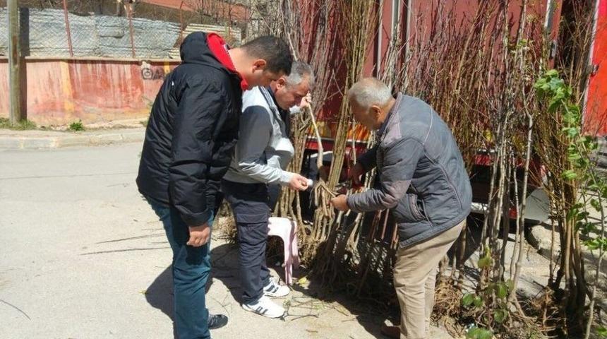 Bayburt&rsquo;ta Fide, Fidan Ve S&uuml;s Bitkileri Satış Yeri Denetimleri Yapıldı