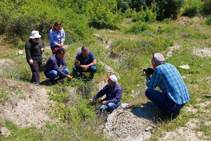 Kayıp Bitkiyi Yeniden Bulup Baraj Sularından Kurtardılar G2