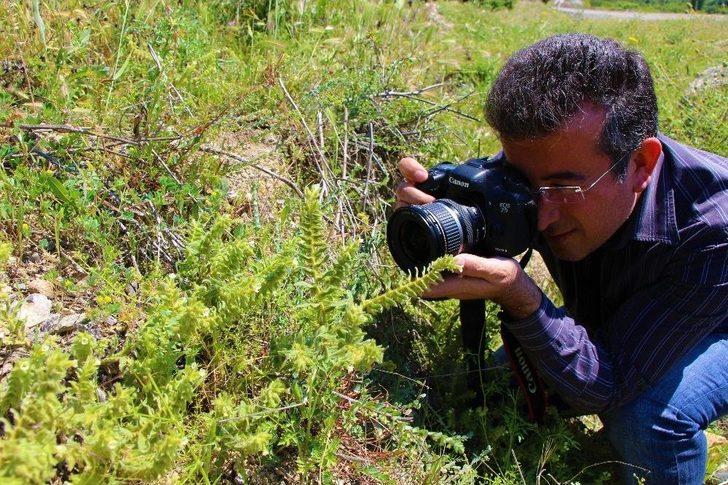 Kayıp Bitkiyi Yeniden Bulup Baraj Sularından Kurtardılar G4