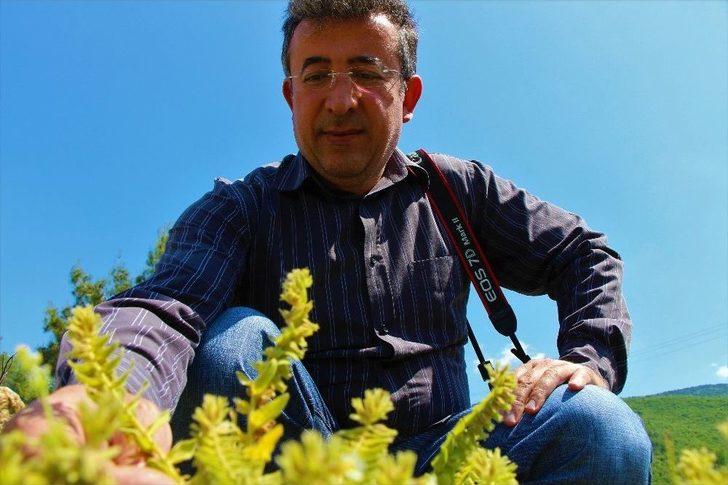 Kayıp Bitkiyi Yeniden Bulup Baraj Sularından Kurtardılar G5