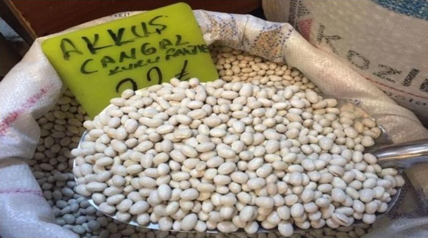 Akkuş Fasulyesinin &Uuml;retimi Artacak