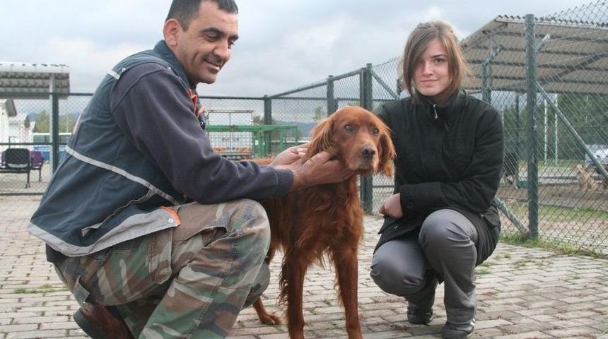 Kocaeli&rsquo;de Bin 200 Sokak Hayvanı Sahiplendirildi