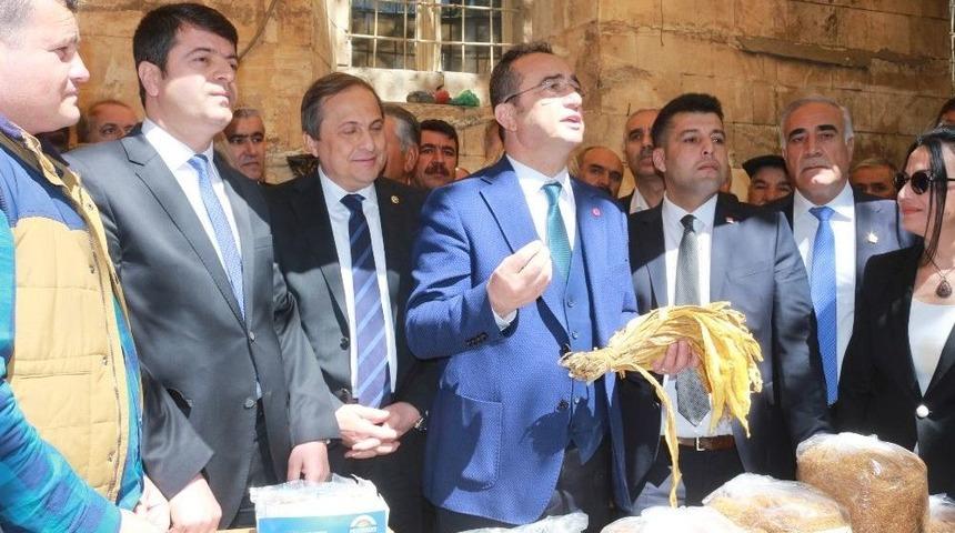 Chp Genel Başkan Yardımcısı Tezcan T&uuml;t&uuml;nc&uuml;ler G&ouml;r&uuml;şt&uuml;