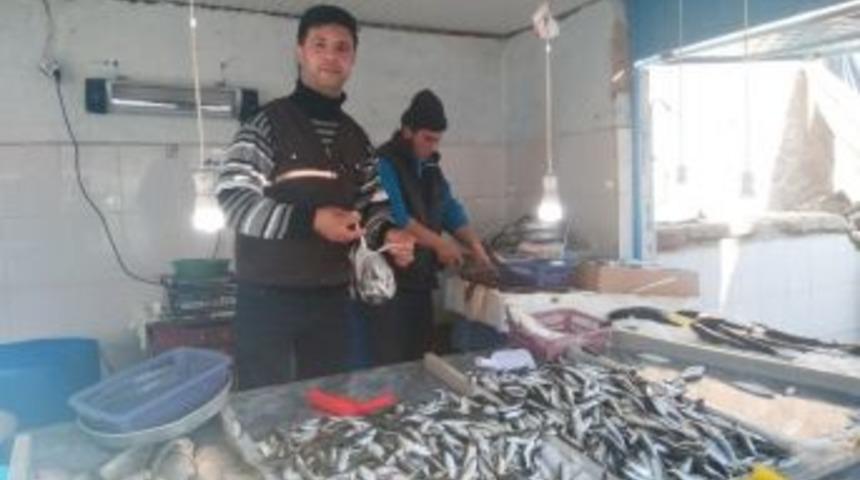 Karadeniz Hamsinin Fiyatı Tavan Yaptı