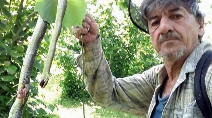 Fındık Bah&ccedil;elerinde G&ouml;r&uuml;len Yılanlar Korkutuyor