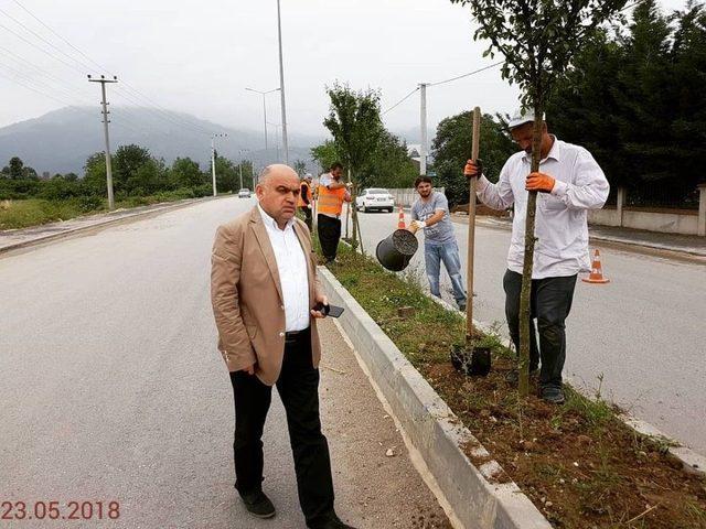 Beyköy’de Refüjler Çiçeklendiriliyor