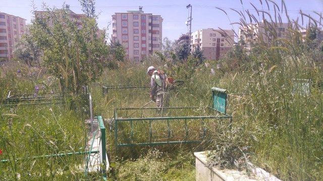 Van’daki Mezarlıklar Yabani Otlardan Arındırılıyor