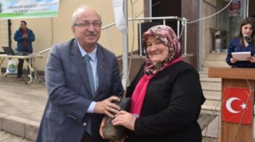 Tekirdağ B&uuml;y&uuml;kşehir Belediyesi Ihlamur Fidanı Dağıttı