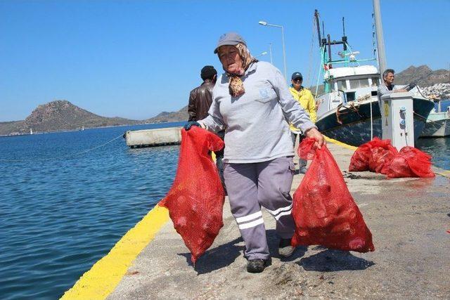 Yalıkavak Koyu Temizlendi