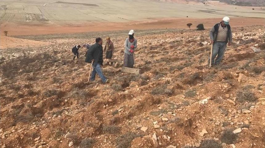 300 Bin Fidan Toprakla Buluşuyor