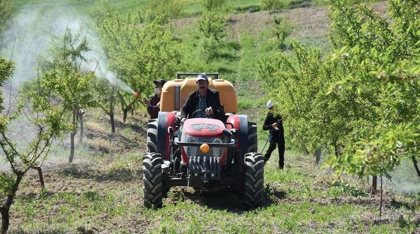T&uuml;rkiye&rsquo;yi Badem İthalatından Kurtarmayı Hedefliyorlar