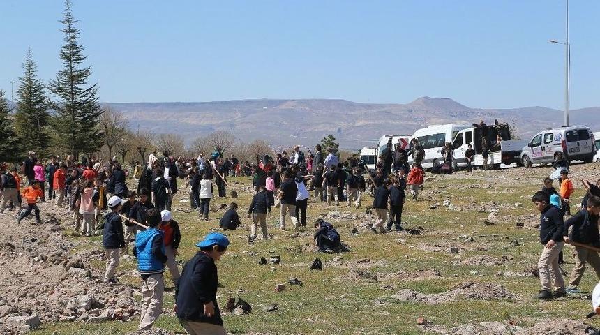 B&uuml;y&uuml;kşehir İle Fidanlar Fidan Dikti