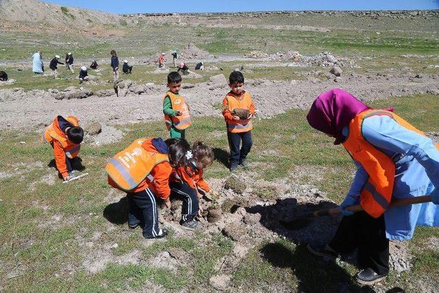 Büyükşehir İle Fidanlar Fidan Dikti