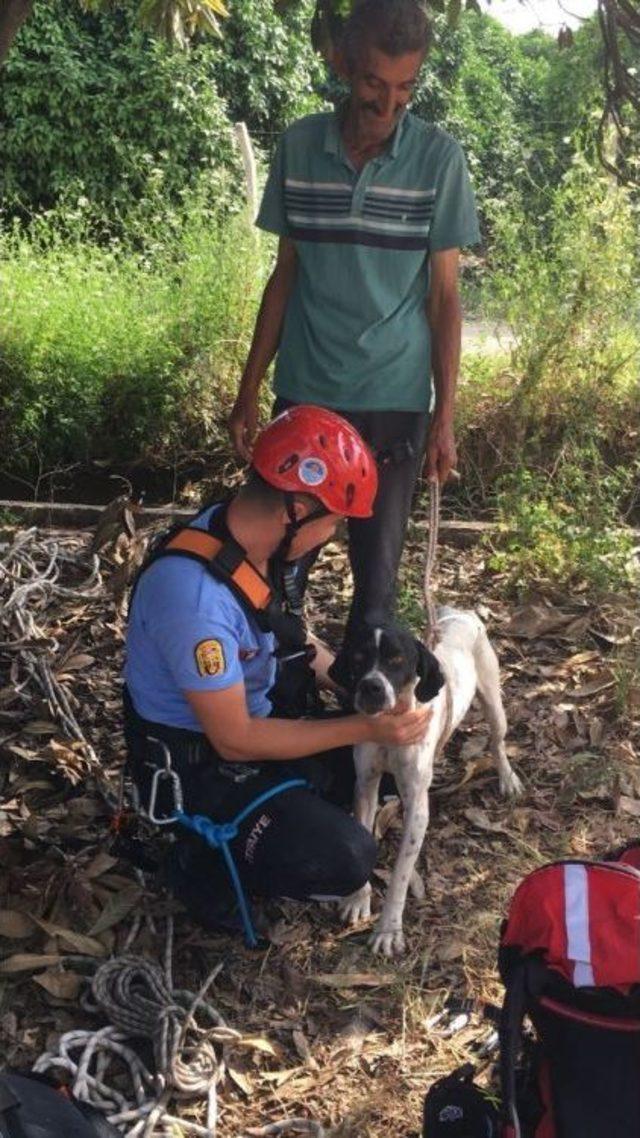 3 Gün Kuyuda Yaşam Mücadelesi Veren Köpek Kurtarıldı