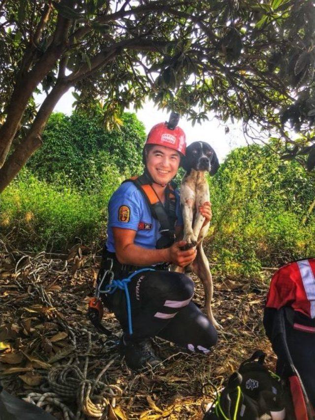 3 Gün Kuyuda Yaşam Mücadelesi Veren Köpek Kurtarıldı