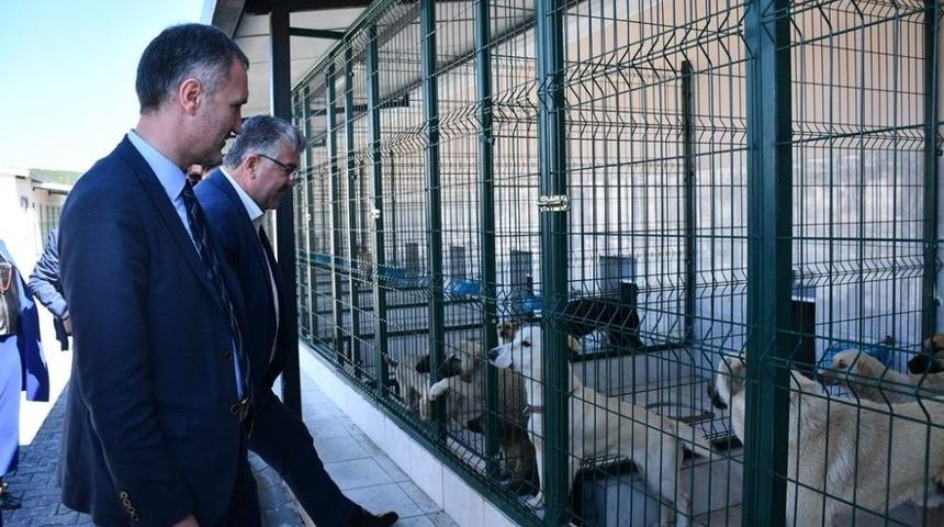 Bursa&rsquo;ya &Ouml;rnek Hayvan Bakım Merkezi