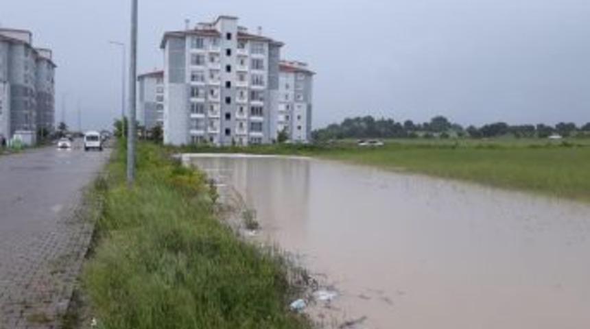 Emetli Çiftçinin 1 Yıllık Emeği Yarım Saatte Yok Oldu