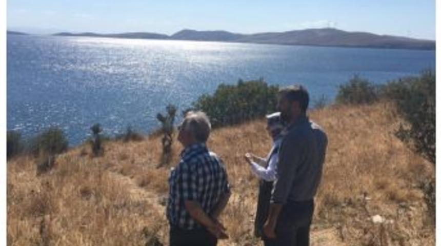 Paşalimanı&rsquo;na Gelir Getirici Fidan Ekilecek