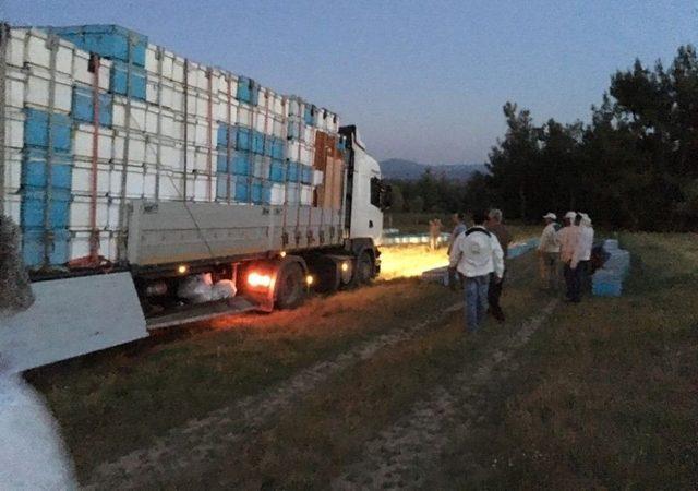 Gezginci Arıcılar Yollara Düşüyor